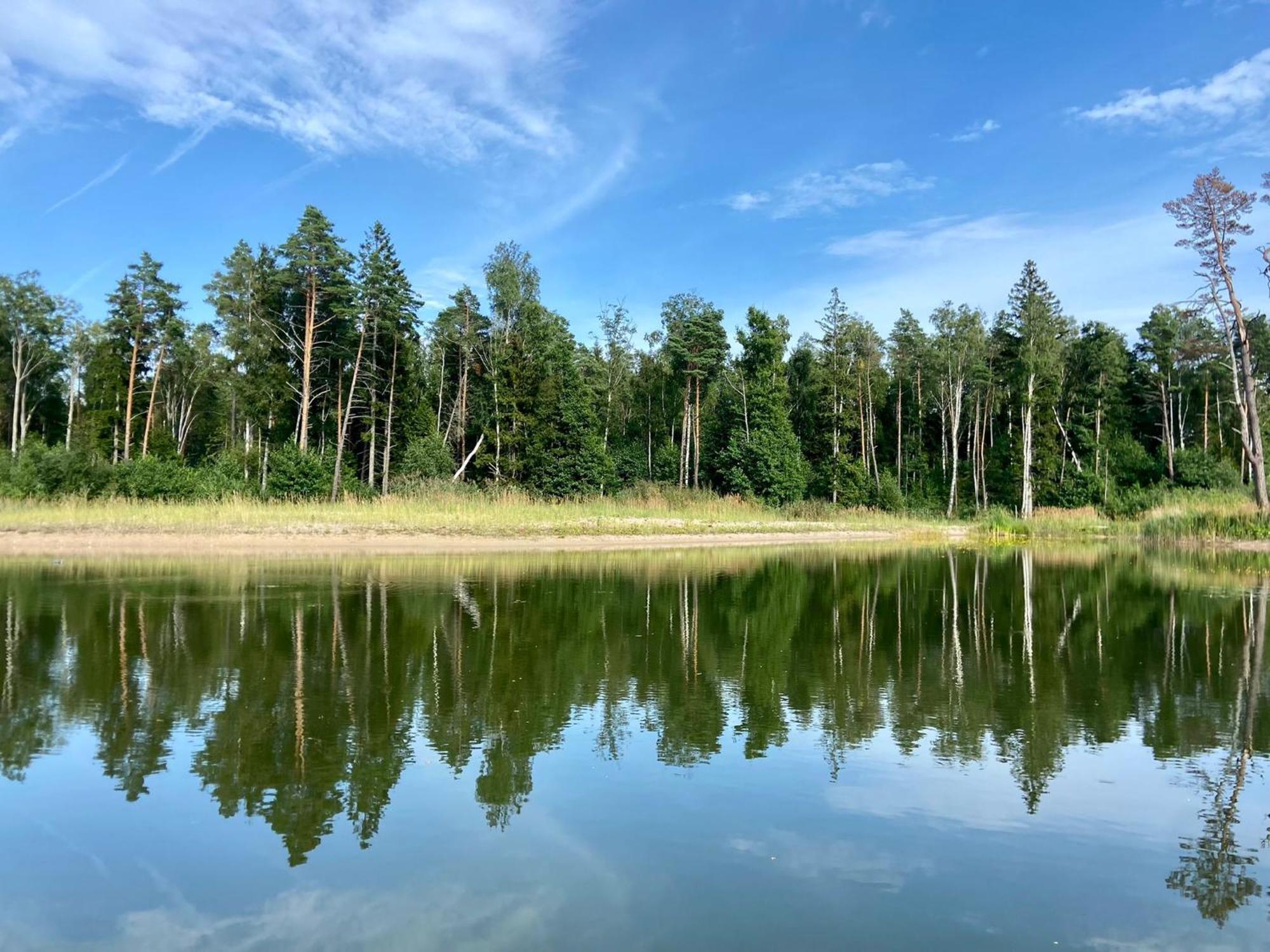 Metsaraeaegu Wellness Villa Ulendi Kültér fotó